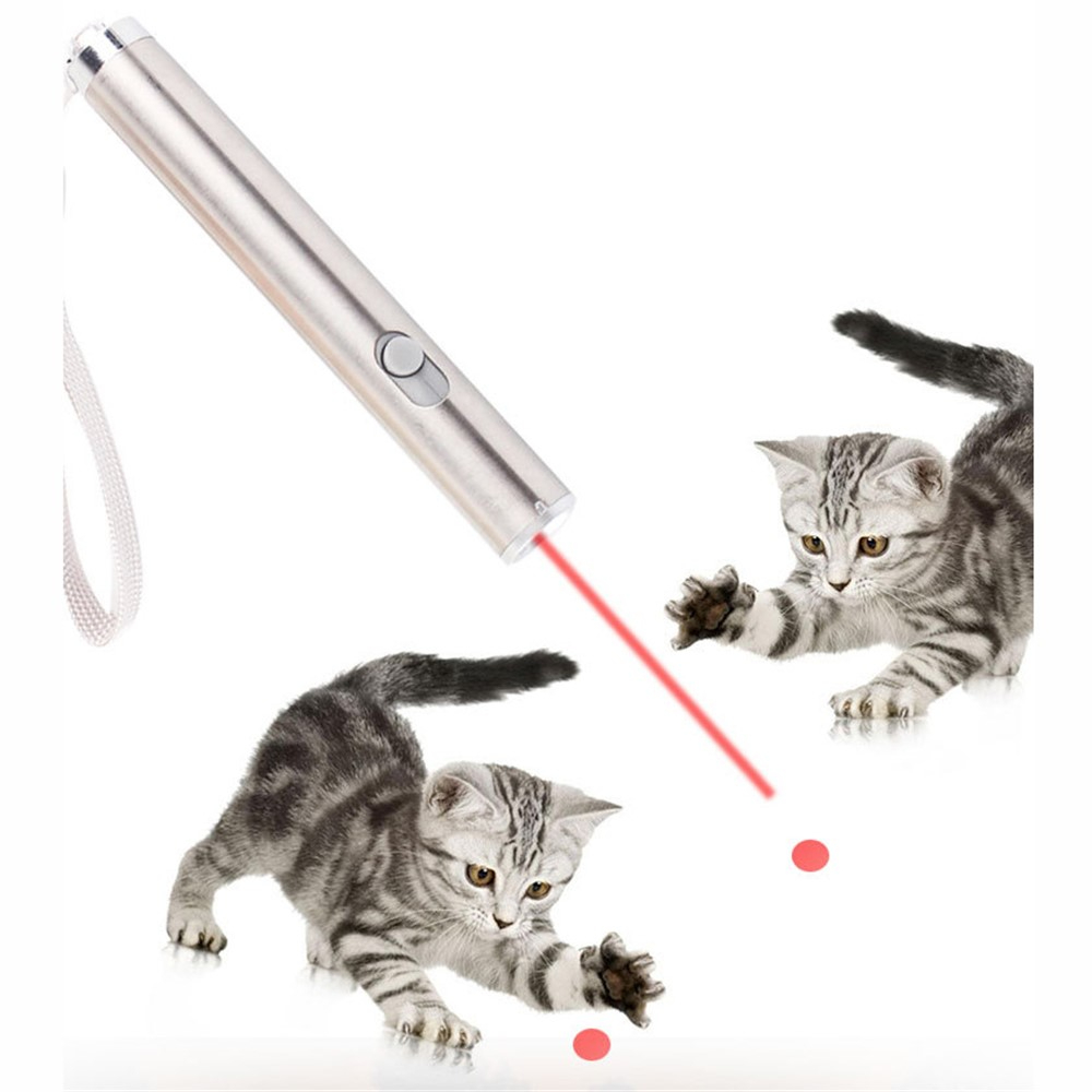 2-i-1 Laser Pointer / Lommelygte