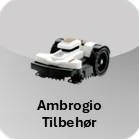 Ambrogio