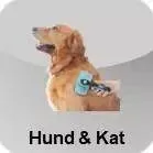 Hund & Kat