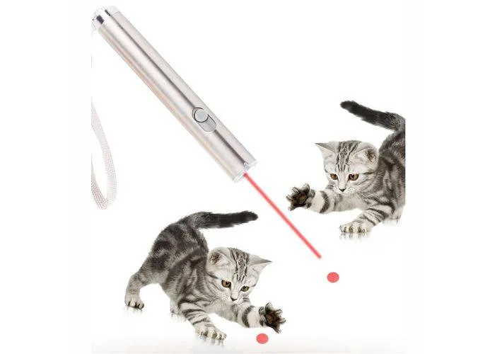 2-i-1 Laser Pointer / Lommelygte